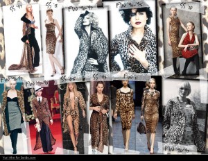 Leopard Dolce Gabbana