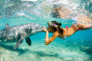 Underwater Dolphin Kiss