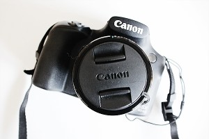 canon powershot sx60 hs review