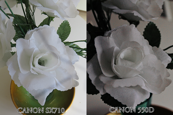 canon sx710 vs 550d