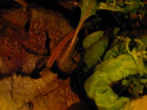 Sophies Steakhouse's Chateaubriand